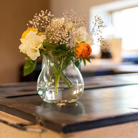 Feriehus Wildlandhaus *